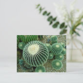 Dessert Cacti Briefkaart (Staand voorkant)