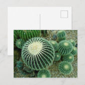 Dessert Cacti Briefkaart (Voorkant / Achterkant)