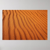 Dessertland Poster (Voorkant)