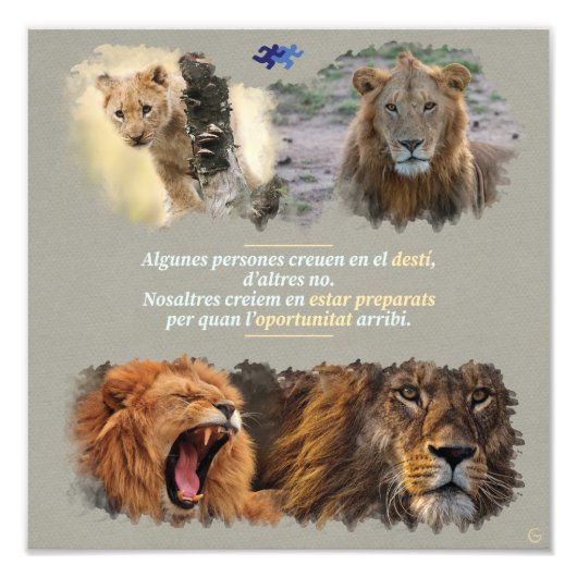 Destí o oportunitat? foto afdruk (Voorkant)