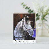 Destin Briefkaart (Staand voorkant)