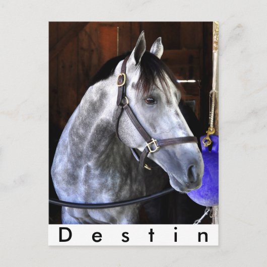 Destin Briefkaart (Voorkant)