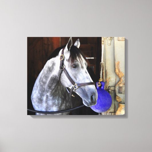 Destin Canvas Afdruk (Voorkant)