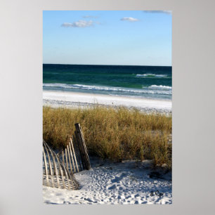 Destin Dreaming Poster, S Cyr Poster