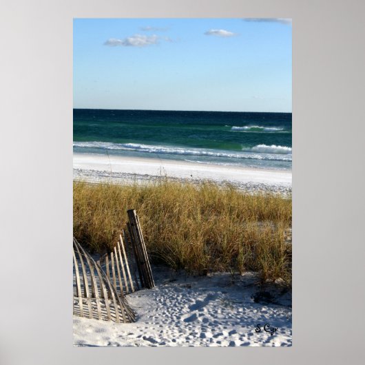 Destin Dreaming Poster, S Cyr Poster (Voorkant)