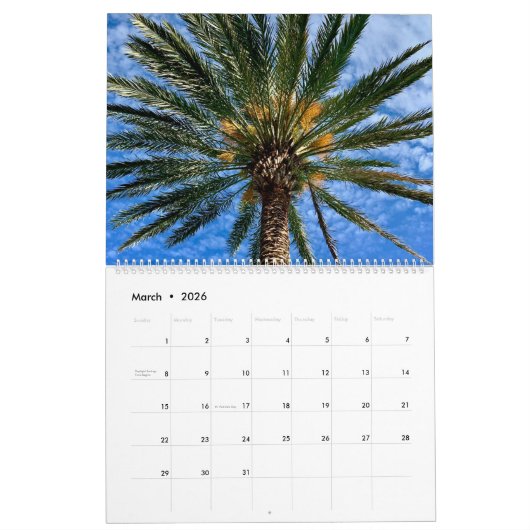 Destin Florida Beach Fotografie Seaside 2026 Muur Kalender (Mar 2026)