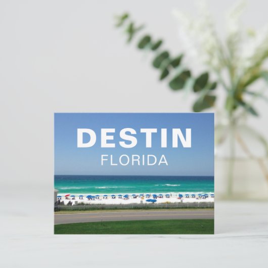 Destin Florida Beach Photography Seaside Briefkaart (Staand voorkant)