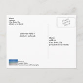 Destin Florida Beach Postcard Briefkaart (Achterkant)