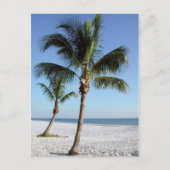 Destin Florida Briefkaart (Voorkant)