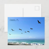 Destin Florida Pelicans Seaside Ocean Photography Briefkaart (Voorkant / Achterkant)