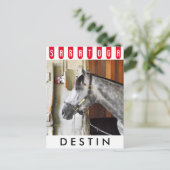 Destin - Horse Haven Briefkaart (Staand voorkant)