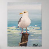 Destin Seagull Poster (Voorkant)