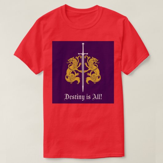 DESTINY04 T-SHIRT (Design voorkant)