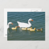 Destiny Gifts Briefkaart (Voorkant / Achterkant)