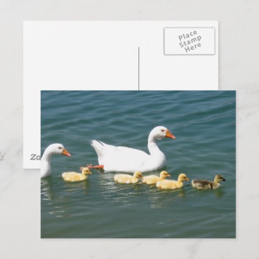 Destiny Gifts Briefkaart (Voorkant / Achterkant)