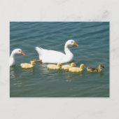 Destiny Gifts Briefkaart (Voorkant)