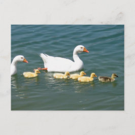 Destiny Gifts Briefkaart