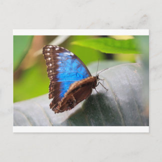 Destiny Gifts Briefkaart