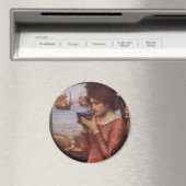 Destiny Magneet (Insitu (Vaatwasser))