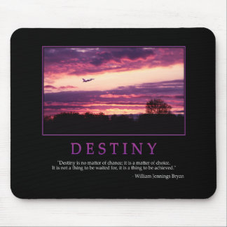 Destiny Mousepad Muismat