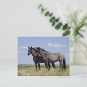 Destiny Ranch Peaceful Horses Briefkaart (Staand voorkant)