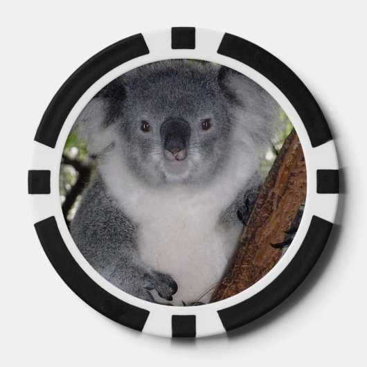 Destiny Zazzle Schattigee Koala Aussi Outback Anim Poker Chips (Voorkant)