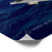 DESTROYER MET GIDDELDE MISSIE - DDG-79 POSTER (Hoek)