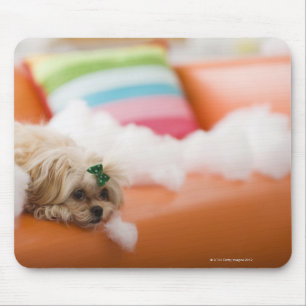destructieve hond muismat