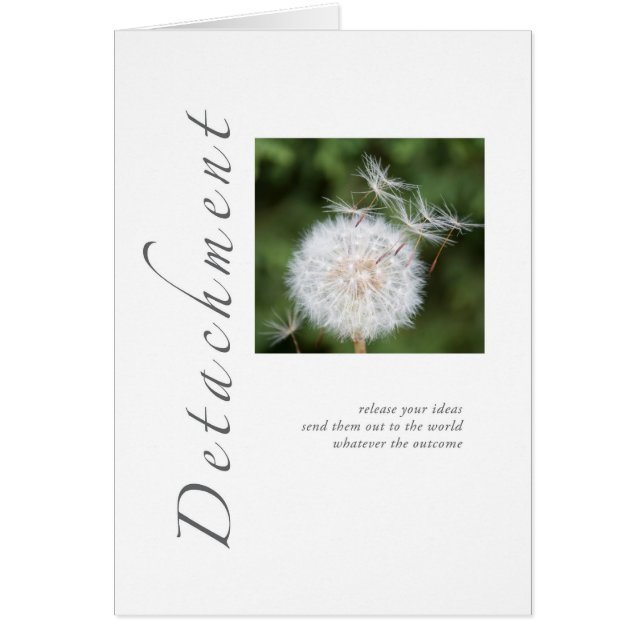 Detachment Dandelion (Voorkant)