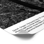 Detail, Draper Vineyards near St. Helena, 1966 Poster (Hoek)