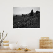 Detail, Draper Vineyards near St. Helena, 1966 Poster (Keuken)