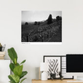 Detail, Draper Vineyards near St. Helena, 1966 Poster (Thuiskantoor)