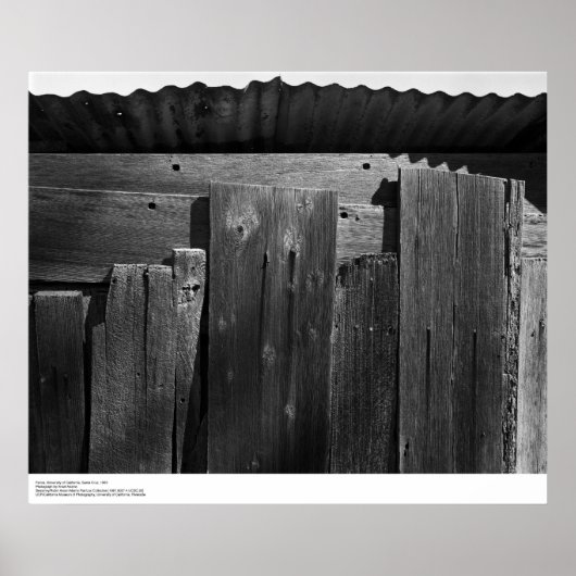 Detail of Fence, UC Santa Cruz, 1963 Poster (Voorkant)