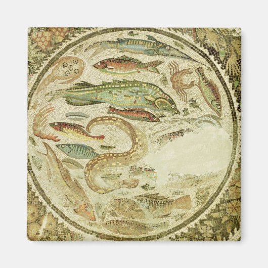 Detail of fish, the Four Seasons, from Vega Baja Magneet (Voorkant)