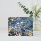 Detail van bevroren rivieroever, ijs, steen, zand, briefkaart (Staand voorkant)