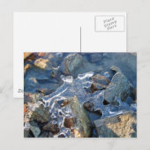 Detail van bevroren rivieroever, ijs, steen, zand, briefkaart (Voorkant / Achterkant)