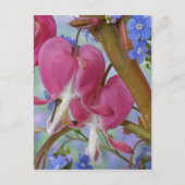 Detail van bloedende harten en Brunnera Jack Briefkaart (Voorkant)