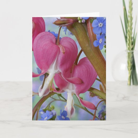 Detail van bloedende harten en Brunnera Jack Kaart (Voorkant)