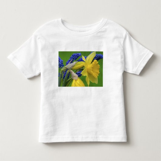 Detail van daffodil- en hyacintebloemen. Krediet Kinder Shirts (Voorkant)