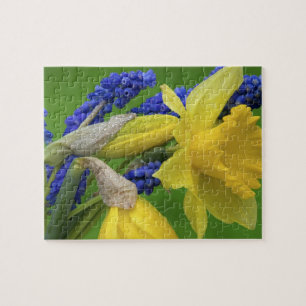 Detail van daffodil- en hyacintebloemen. Krediet Legpuzzel