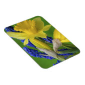 Detail van daffodil- en hyacintebloemen. Krediet Magneet (Rechterzijde)