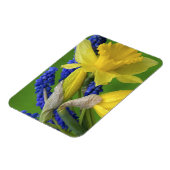 Detail van daffodil- en hyacintebloemen. Krediet Magneet (Linkerzijde)