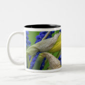 Detail van daffodil- en hyacintebloemen. Krediet Tweekleurige Koffiemok (Links)