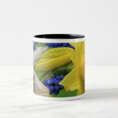 Detail van daffodil- en hyacintebloemen. Krediet Tweekleurige Koffiemok (Center)