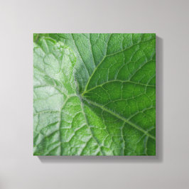Detail van de groenbladader canvas afdruk