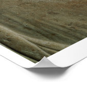 Detail van de stela van Philis, van Thasos, c.5t Poster (Hoek)