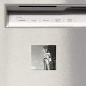 Detail van een karikatuur van de Erechtheion Magneet (Insitu (Vaatwasser))