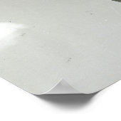 Detail van een karikatuur van de Erechtheion Poster (Hoek)