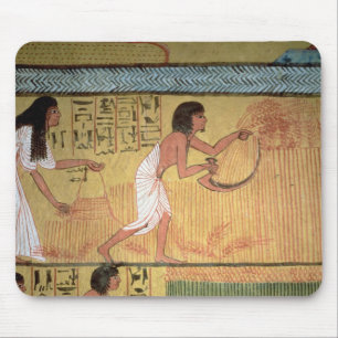 Detail van een oogstplaats op de oostmuur muismat