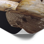 Detail van een standbeeld van Itur-Shamagen Poster (Hoek)